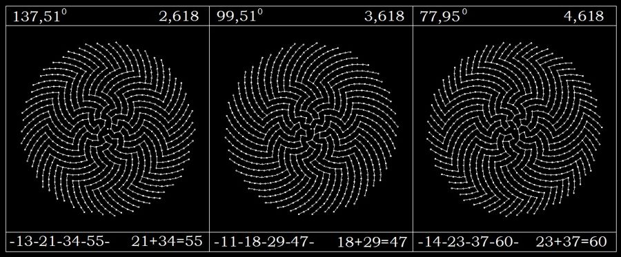 0088 0088
